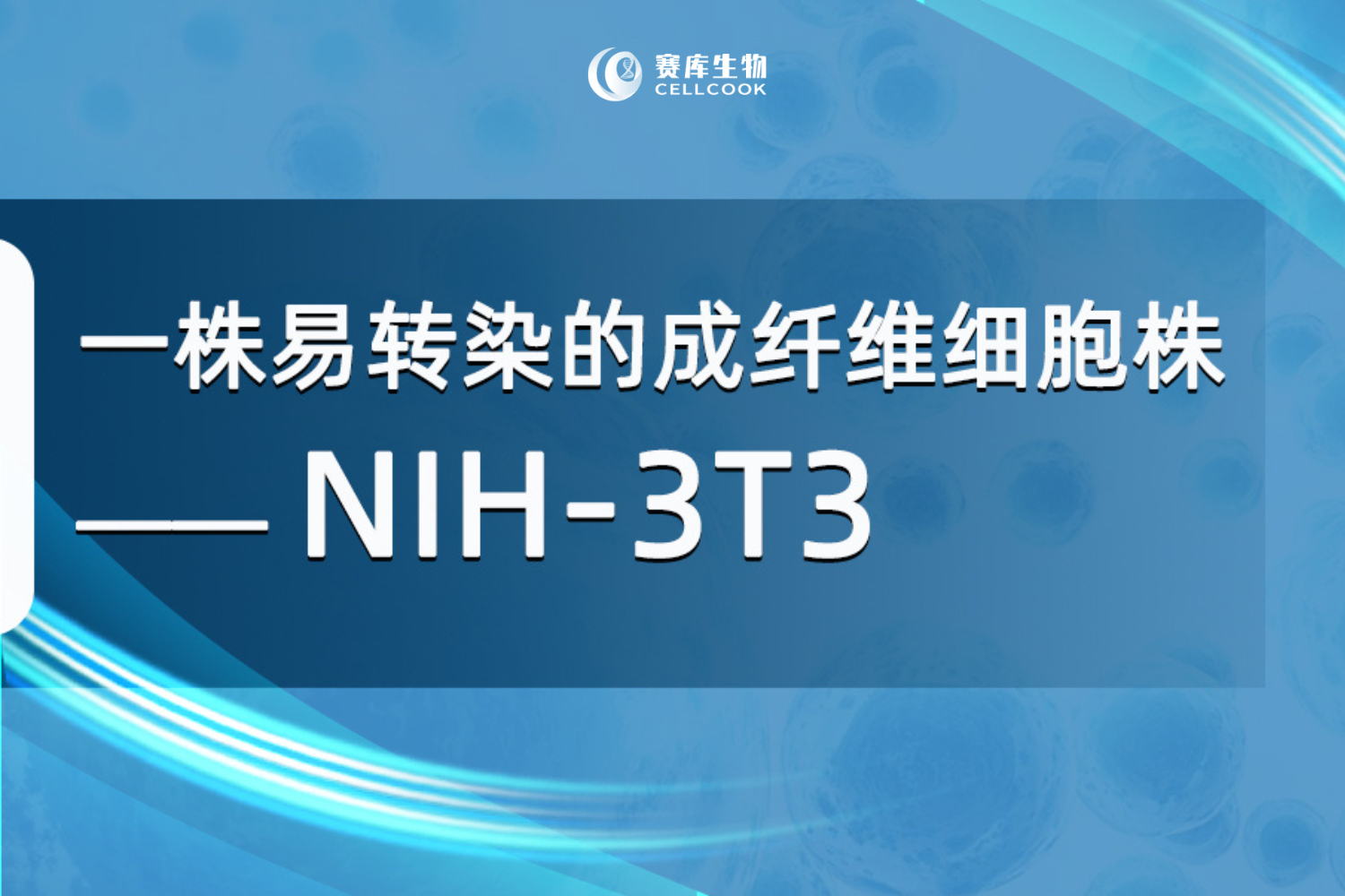  一株易转染的成纤维细胞株—NIH-3T3